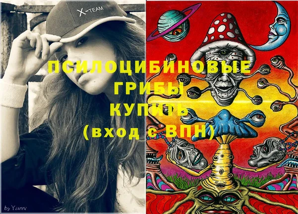 дживик Бугульма